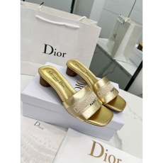 Christian Dior Slippers